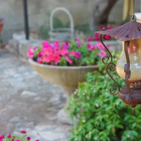 Sunshine Holiday Prázdninový dům